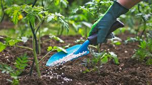 Fertilizers & Chemicals